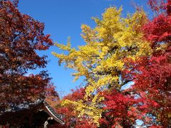 -常寂光寺