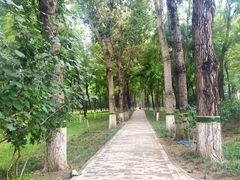 -大兴滨河森林公园