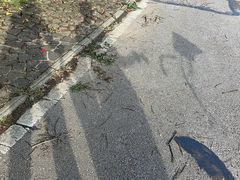 -南京市江宁方山