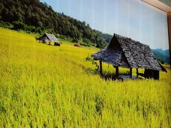 -湘邻呷铺·田园家宴(汉基广场店)