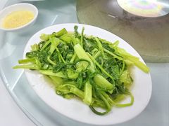 -新陶陶酒家