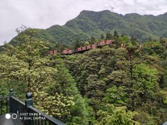 -梦幻奥陶纪景区