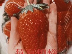 -堤口果品批发市场