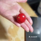 被忽视的营养食材芹菜叶系列之香芹叶炒蛋