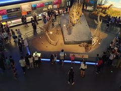 -贝林大翅鲸简餐厅(国家海洋博物馆店)