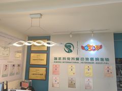 -瑞派宠物医院·24小时骨科·心脏·核磁(哈尔滨南岗店)