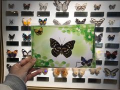 -上海昆虫博物馆