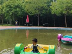 -西部长青自然儿童乐园