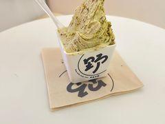 -野人先生现做冰淇淋(北京王府井东方新天地店)