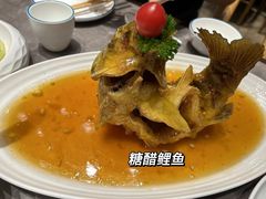 糖醋鲤鱼-闫府私房菜·百年鲁菜(恒隆店)