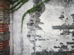 -召稼楼古镇
