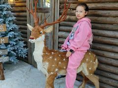 -HERRE·FARM 赫尔露营农场·团建聚会包场