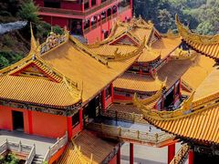 -东莞市大岭山森林公园