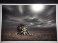 -罗红摄影艺术馆