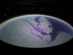 -美国自然历史博物馆