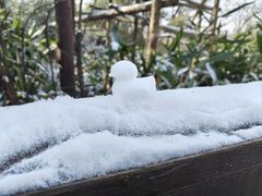 -红山森林动物园