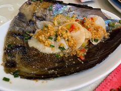 澳洲带子-鹊华居·地道鲁菜·海鲜·融合味(大明湖店)