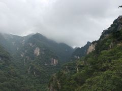 -牛背梁国家森林公园