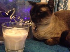 iphone_upload_pic-Sirena海妖日咖夜酒