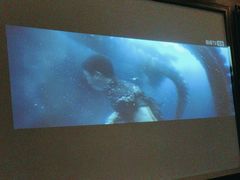 -臻品足道(后湖店)