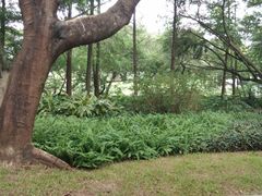 -人民公园(罗湖区)