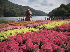 -广州市石门国家森林公园