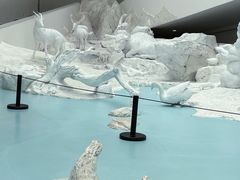 -中国湿地博物馆