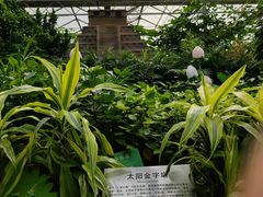 -南宫五洲植物乐园