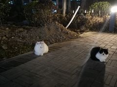 -北京国家会计学院