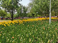 -长春公园(普阳街道)