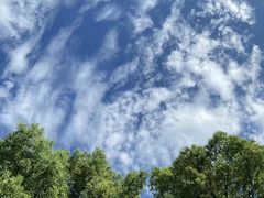 -上海虹桥迎宾馆