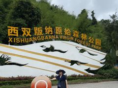 -西双版纳原始森林公园