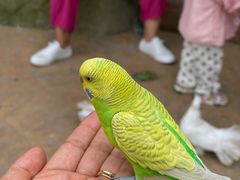 -北戴河集发农业梦想王国