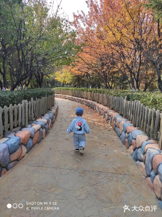 沈阳方特欢乐世界图片