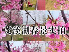 -艾溪湖湿地公园