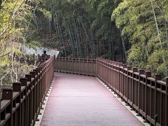 -紫金山天文台