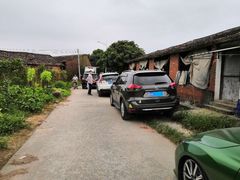 -朱村黄塘建华烧鸡