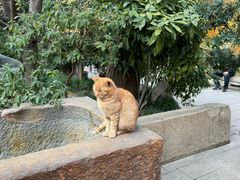 -龙华寺