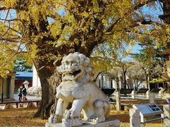 -北京石刻艺术博物馆(五塔寺)