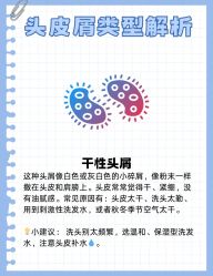 -Bollins波林丝•专研护发中心