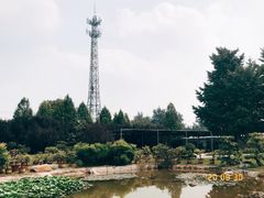 -石家庄市植物园