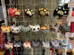 -猫咪博物馆(顶澳仔猫街店)