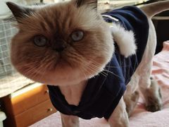 -猫的天空之城概念书店(苏州诚品店)