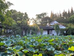 -上海醉白池公园