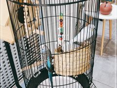 -就酱吃蛋糕(麦凯乐大庆经典店)