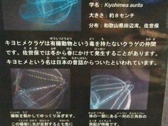 -西海国立公园九十九岛水族馆