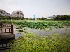 -海天湖公园