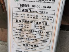 -西双版纳原始森林公园