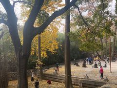-青岛崂山太清宫