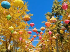 -南宫五洲植物乐园